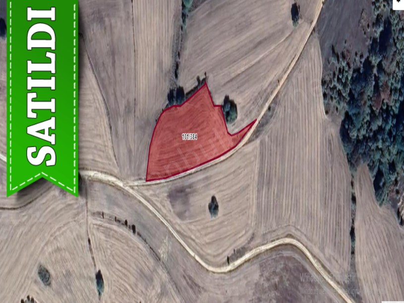 Kırklareli Kofçaz Ahmetler Köyünde Satılık Arsa , 214 M2 Yolu Var Hisseli 