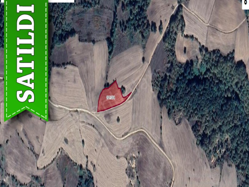 Kırklareli Kofçaz Ahmetler Köyünde Satılık Arsa , 214 M2 Yolu Var Hisseli 