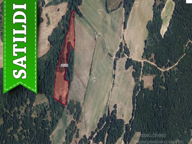 Edirne Lalapaşa Kalkansöğüt Köyü  Satılık Tarla , 13,292 m2 Müstakil Yolu Var