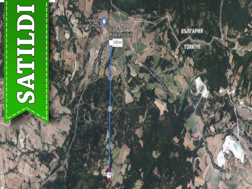 Edirne Lalapaşa Kalkansöğüt Köyü  Satılık Tarla , 13,292 m2 Müstakil Yolu Var