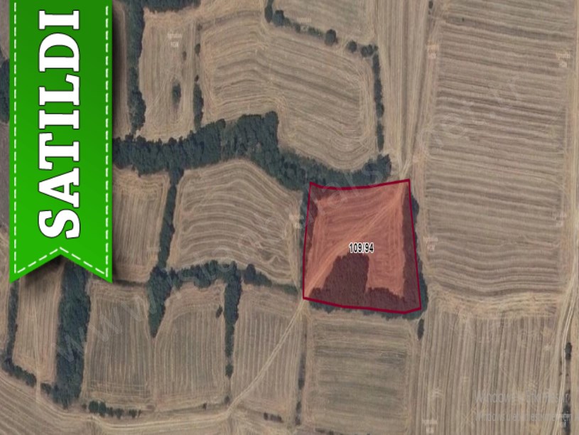 Edirne Uzunköprü Hamidiye Köyünde Satılık Arsa , 193 M2 Yolu Var Hisseli