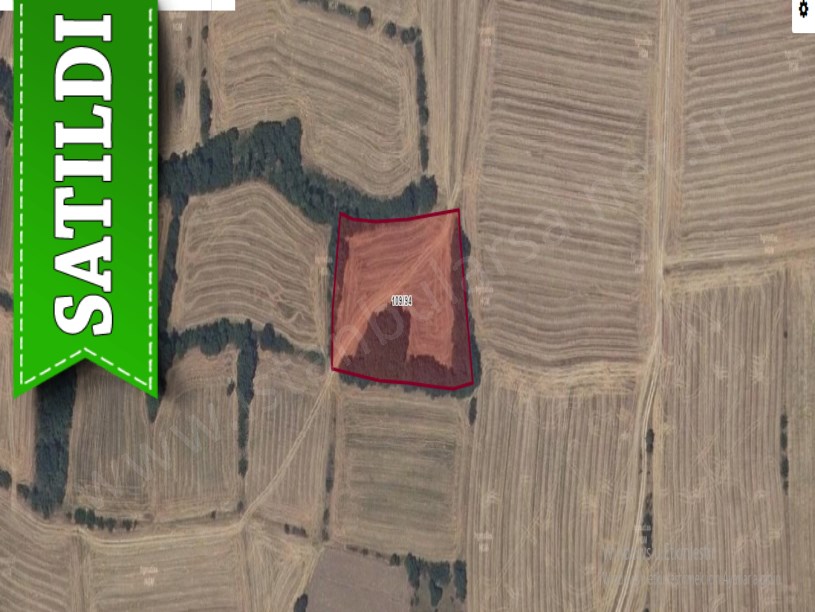 Edirne Uzunköprü Hamidiye Köyünde Satılık Arsa , 193 M2 Yolu Var Hisseli