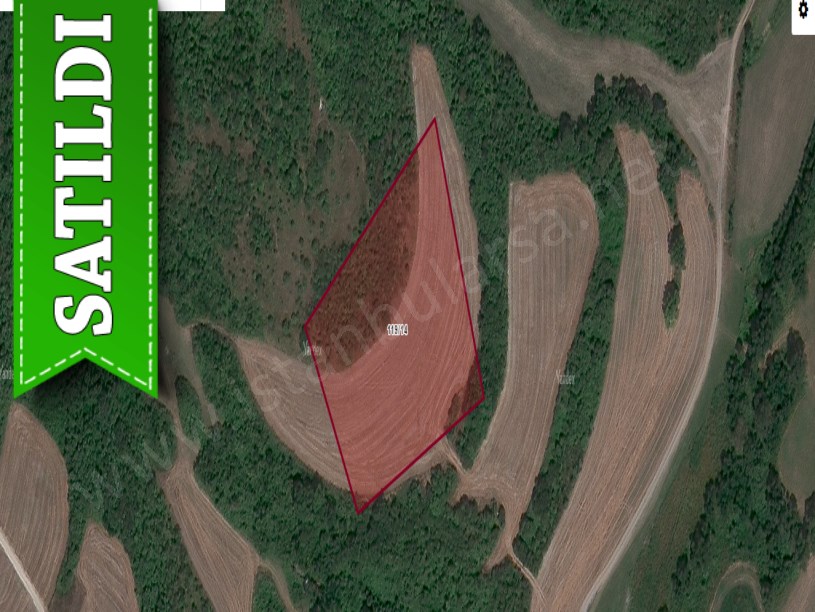Arnavutköy Boyalıkta Satılık Arsa , 253 M2 Çaplı Yolu Var