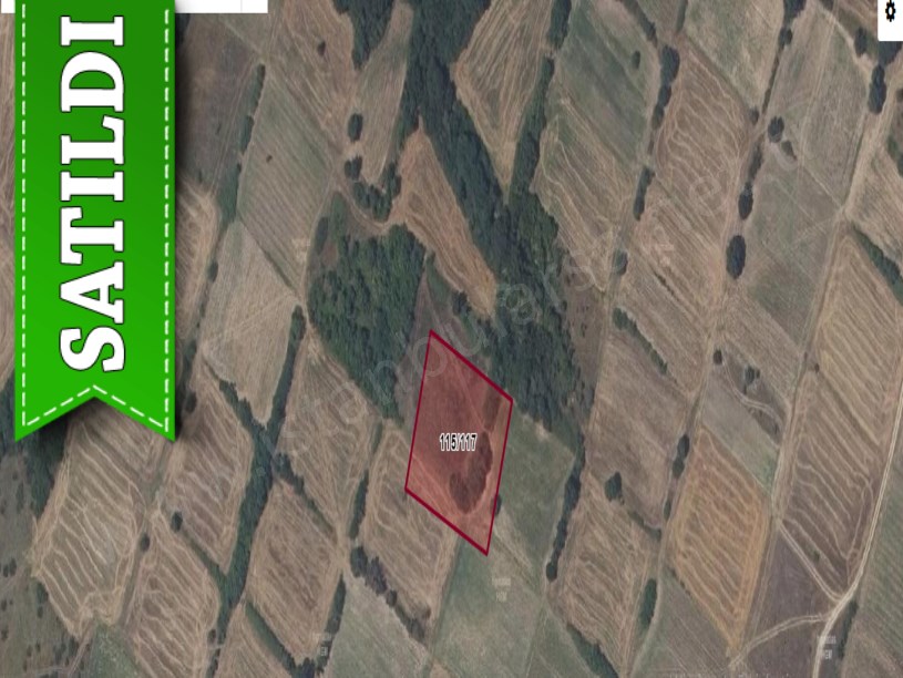 Edirne Uzunköprü Kavacık Köyünde Satılık Arsa , 1000 m2 Hisseli 