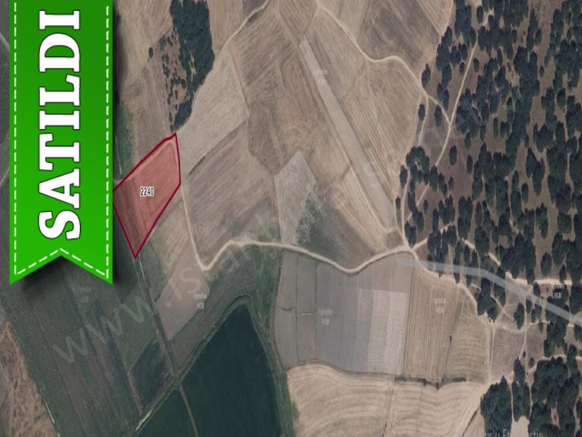 Edirne Uzunköprü Kurtbeyde Satılık Arsa , 210 m2 Yolu Var Hisseli 