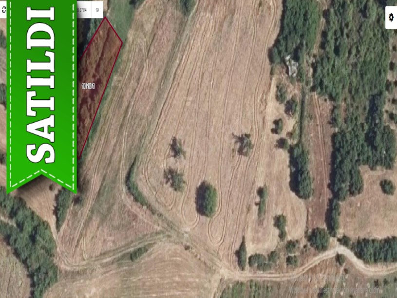 Edirne Lalapaşa Süleymandanişmentte Satılık Tarla , 1,159 m2 Yolu Var Tek Tapu 