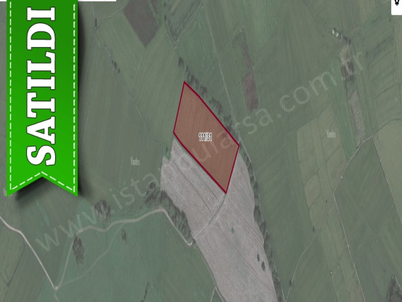 Çatalca Ormanlıda Satılık Arsa , 1,300 M2 Yolu Var 