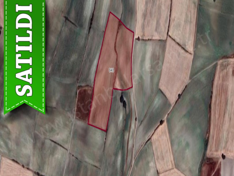 Edirne İpsala Turpçular Köyü Satılık Arsa , 3,500 m2 Yolu Var Hisseli