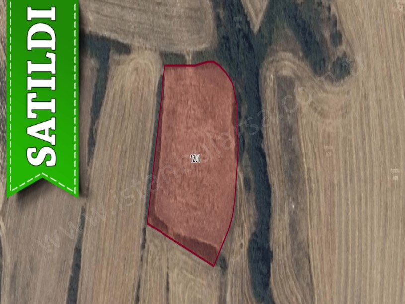 Edirne İpsala Turpçular Köyü Satılık Arsa , 161 M2 Hisseli