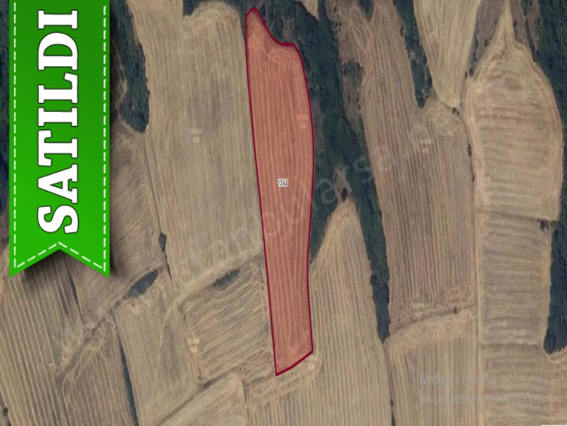Edirne İpsala Turpçular Köyü Satılık Arsa , 265 m2 Hisseli
