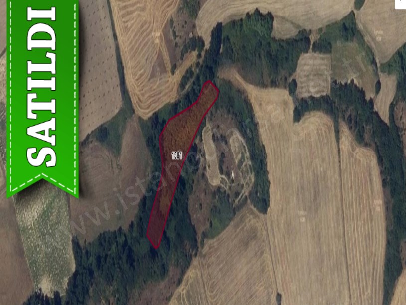 Edirne İpsala Turpçular Köyü Satılık Arsa , 161 m2 Hisseli