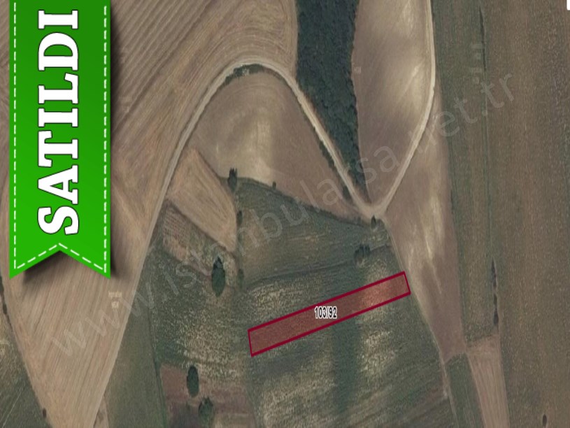 Tekirdağ Süleymanpaşa Demirli Mah Satılık Tarla , 1,615 m2 Yolu Var Müstakil
