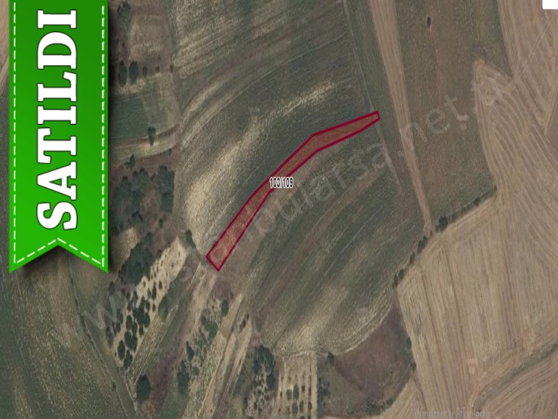 Tekirdağ Süleymanpaşa Demirli Mah Satılık Tarla , 1,604 m2 Müstakil Yolu Var
