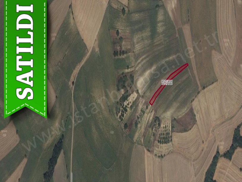 Tekirdağ Süleymanpaşa Demirli Mah Satılık Tarla , 1,470 m2 Yolu Var Köye Yakın