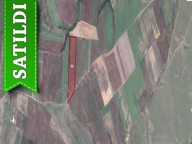 Tekirdağ Hayrabolu Temrezlide Satılık Tarla , 28,250 m2 Müstakil Yolu Var