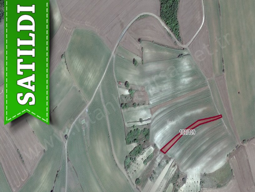 Tekirdağ Süleymanpaşa Demirli Mah Satılık Tarla , 1,604 M2 Yolu Var Müstakil