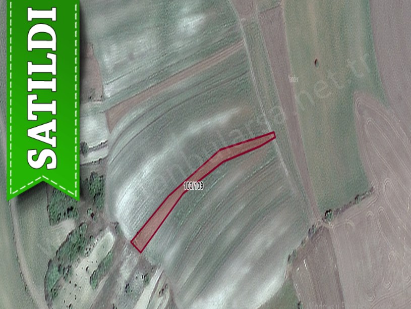 Tekirdağ Süleymanpaşa Demirli Mah Satılık Tarla , 1,604 M2 Yolu Var Müstakil