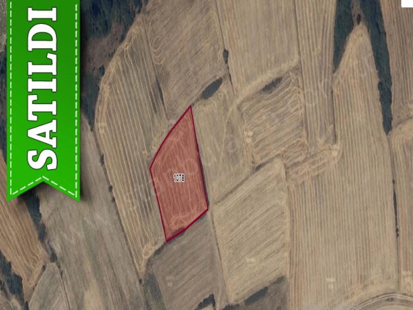 Edirne İpsala Turpçular Köyü Satılık Arsa , 249 m2 Hisseli