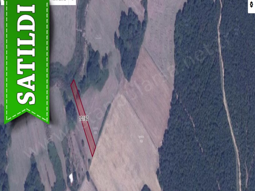 Çatalca Belgratta Satılık Arsa ,998 M2 Müstakil Yolu Var