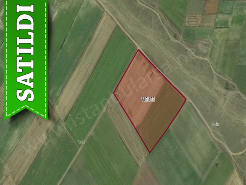 Tekirdağ Saray Yuvalıda Satılık Arsa , 960 M2 Yolu Var Meraya Cephe