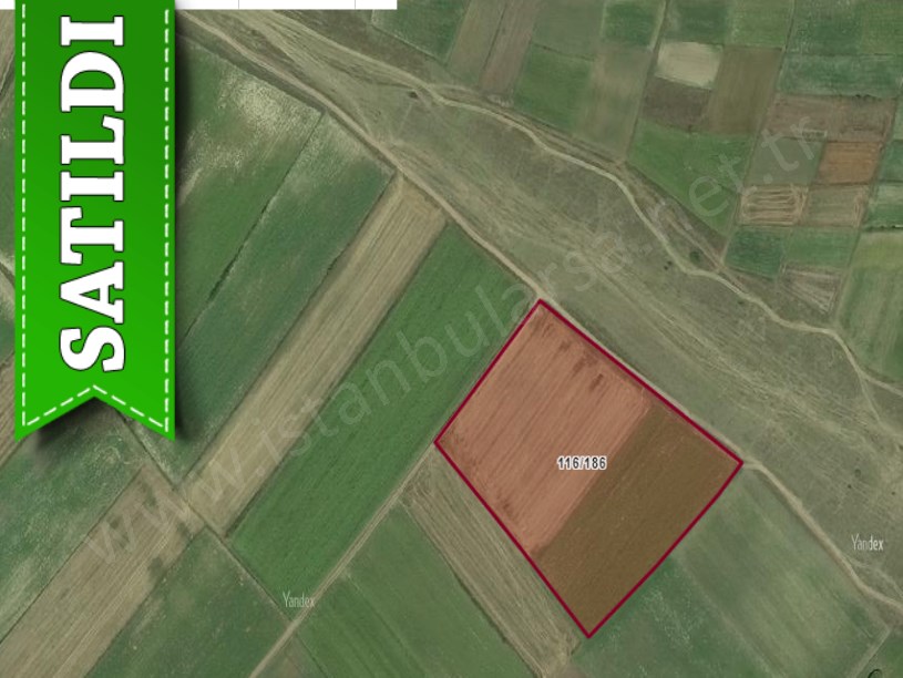 Tekirdağ Saray Yuvalıda Satılık Arsa , 960 M2 Yolu Var Meraya Cephe