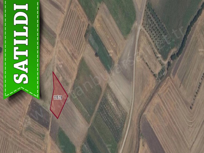 Tekirdağ Saray Sofularda Satılık Arsa , 1, 258 m2 Müstakil Yolu Var