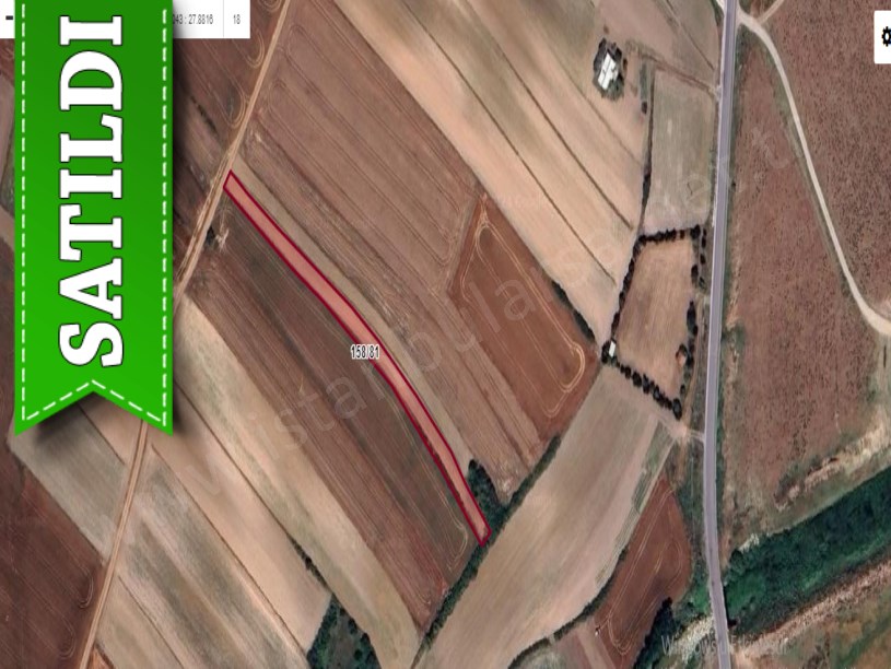 Tekirdağ Saray Çaylada Satılık Tarla , 1,600 M2 Müstakil Yolu Var