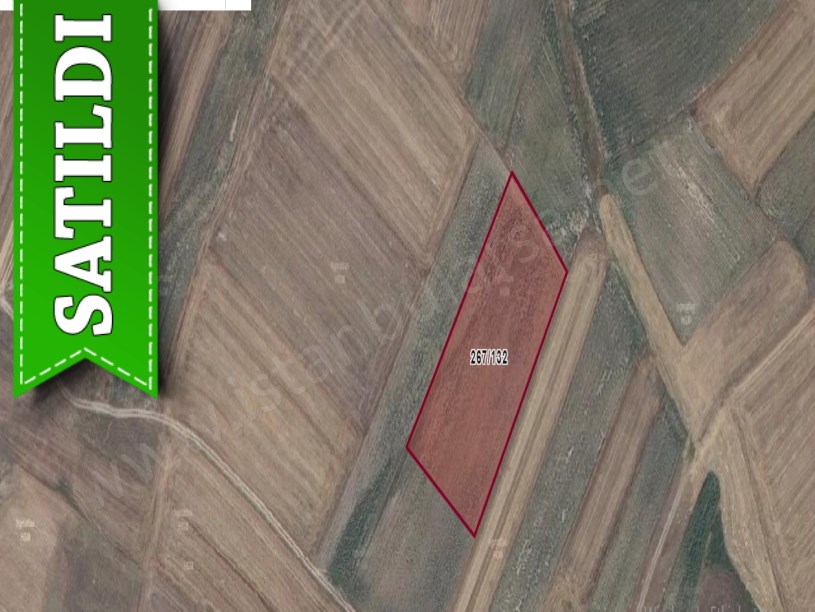 Tekirdağ Saray Beyazköyde Satılık Tarla , 6 Dönüm Müstakil 