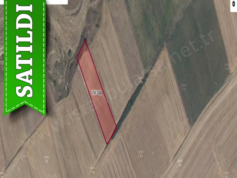 Tekirdağ Saray Yuvalıda Satılık Tarla , 3,700 m2 Müstakil Yolu Var