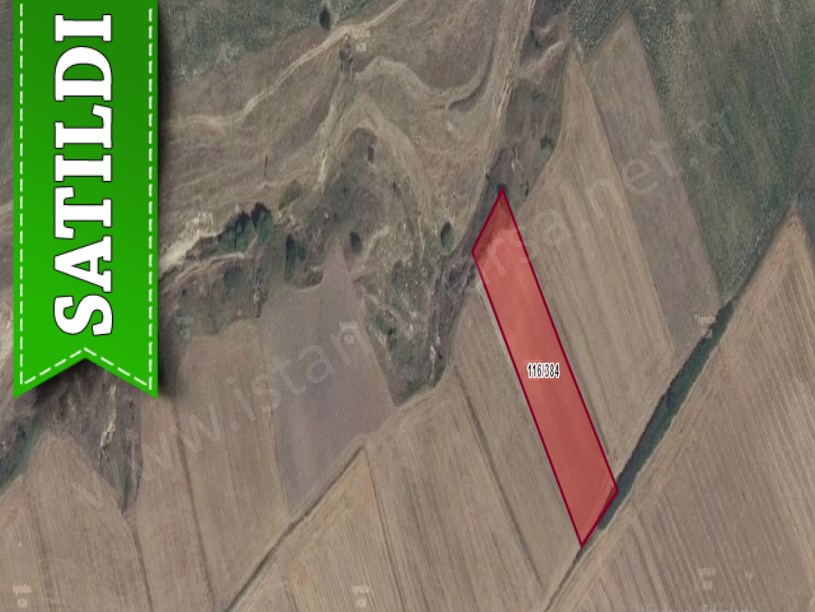 Tekirdağ Saray Yuvalıda Satılık Tarla , 3,700 m2 Müstakil Yolu Var