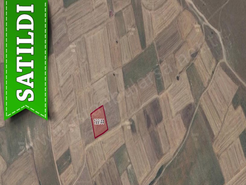 Tekirdağ Saray Sinanlı Mah, Satılık Tarla , 2,650 m2 Bağ Yeri Yolu Var Müstakil