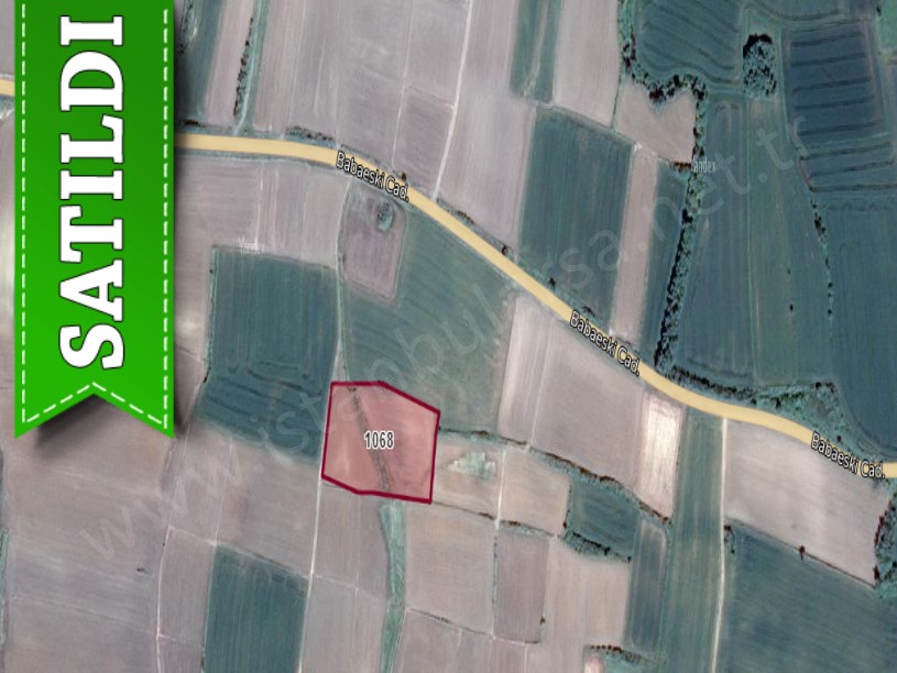 Tekirdağ Hayrabolu Karakavak Mahallesi Satılık Tarla , 6,650 M2 Müstakil Yolu Var 