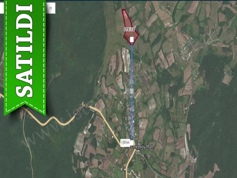 Çatalca Celepköyde Satılık Arsa , 431 M2 Hisseli 