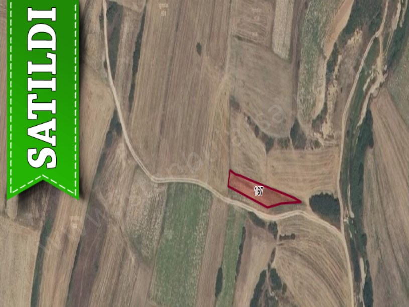 Kırklareli Merkez Kavakdere Köyü Satılık Tarla , 775 m2 Müstakil Yolu Var