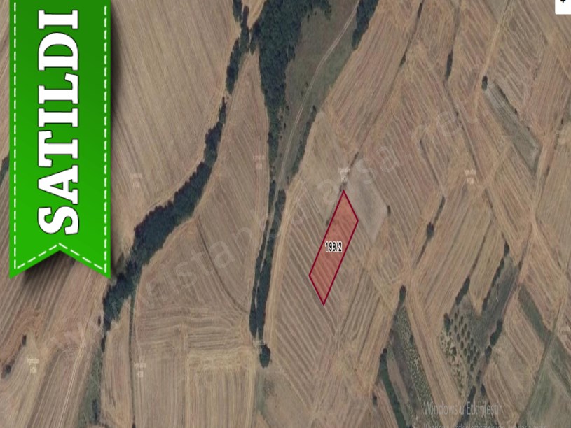 Tekirdağ Süleymanpaşa Kaşıkçı Mah, Satılık Tarla ,1,180 m2 Bağ Tapulu Köy Dibi