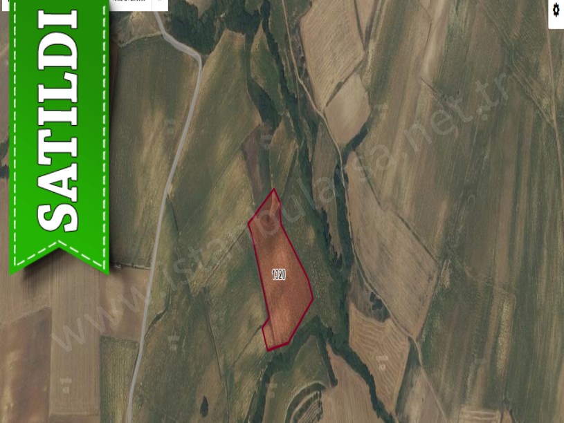 Edirne Keşan Beğendik Köyü Satılık Tarla  , 11,100 m2 Tek Tapu Yola Cephe 