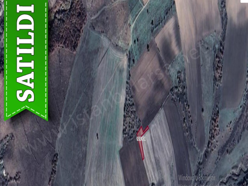 Edirne Meriç Büyükdoğanca Mah , Satılık Tarla , 1,175 m2 Tek Tapu
