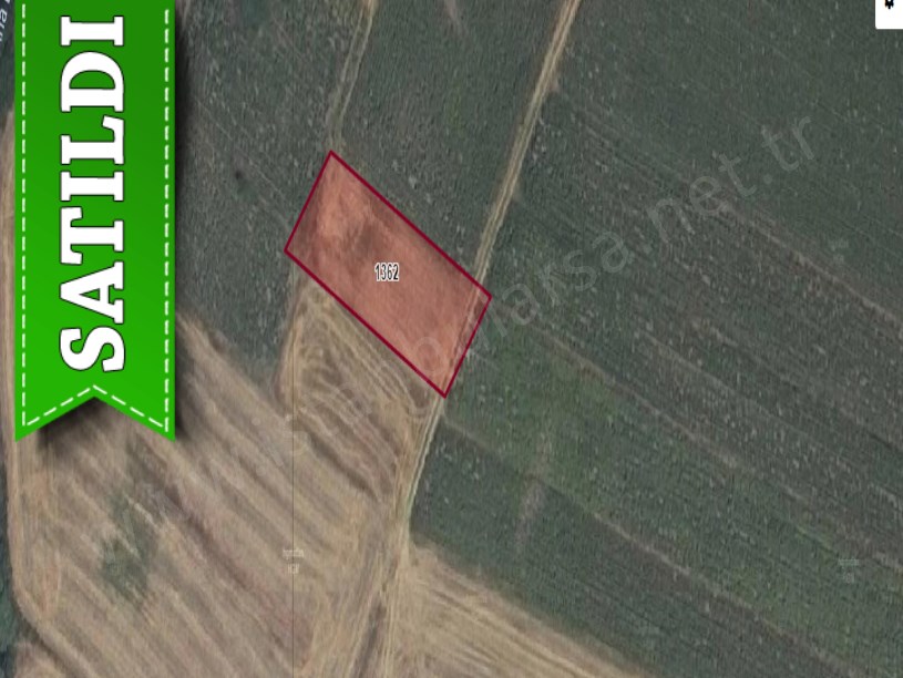 Edirne Havsa Kuzucu Köyü Satılık Tarla , 975 m2 Tek Tapu