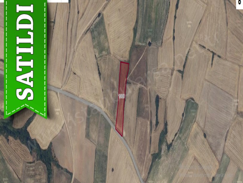 Edirne İpsala Turpçular Köyü Satılık Tarla , 5,900 m2 Asfalt Cephe Yolu Var Müstakil