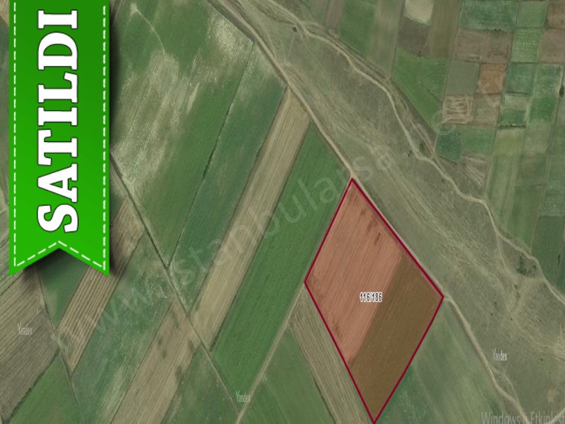 Tekirdağ Saray Yuvalıda Satılık Arsa , 2,504 M2 Yolu Var Hisseli