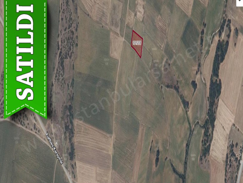 Edirne  Uzunköprü Karapınar Köyü Satılık Arsa . 1,281 M2 Yolu Var Hisseli 