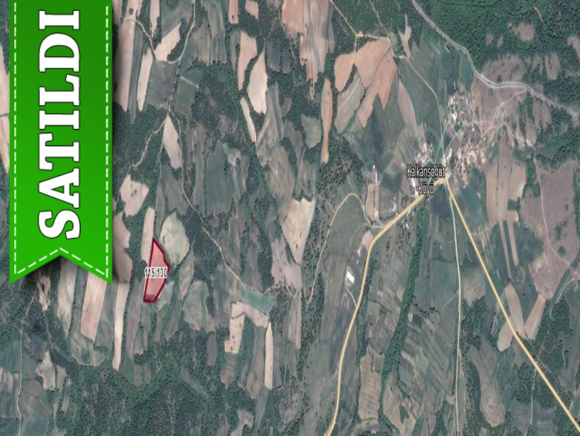 Edirne Lalapaşa Kalkansöğüt Köyü  Satılık Tarla , 19,315 M2 Yolu Var Müstakil