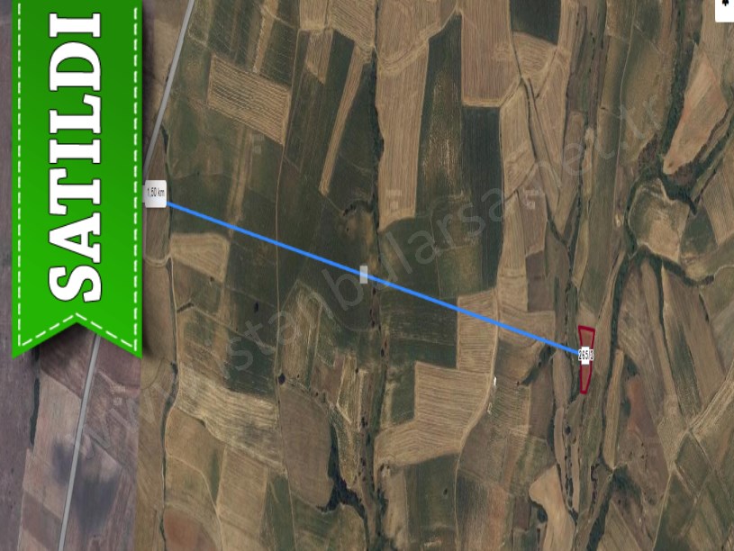 Edirne İpsala İbriktepe Köyü Satılık Tarla  , 3,219 m2 Müstakil 