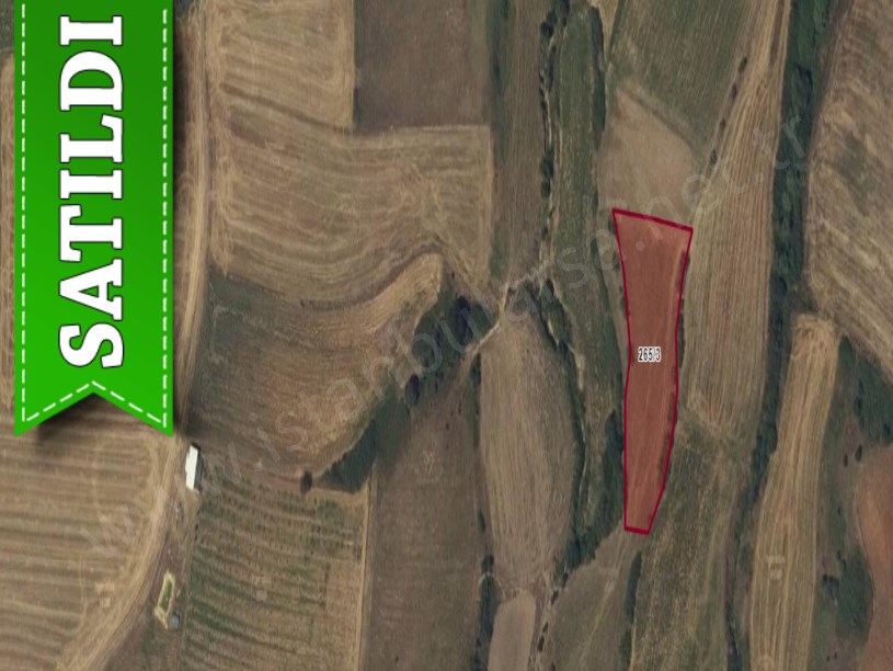 Edirne İpsala İbriktepe Köyü Satılık Tarla  , 3,219 m2 Müstakil 
