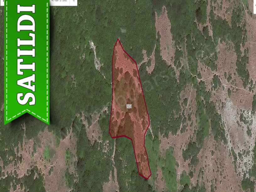 Tekirdağ Şarköy Gaziköy Mah, Satılık Tarla ,7,860 m2  Müstakil 