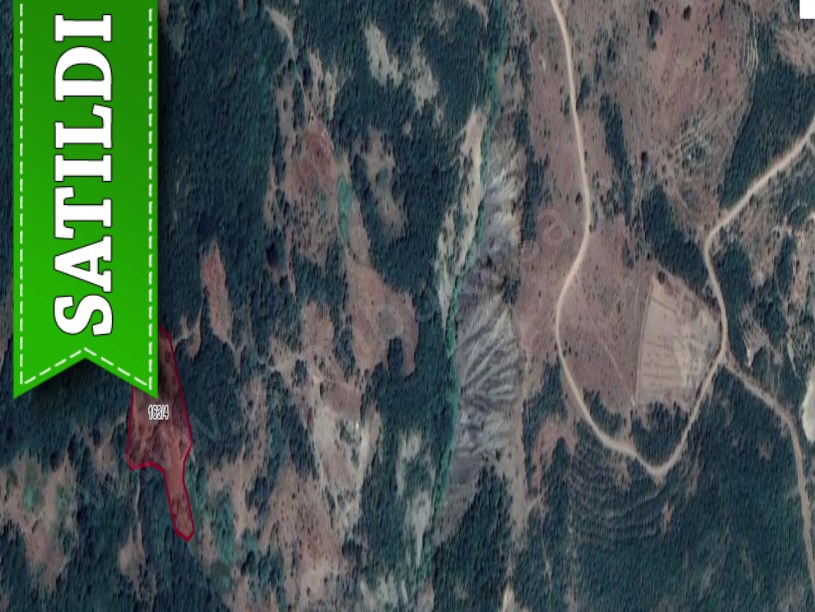 Tekirdağ Şarköy Gaziköy Mah, Satılık Tarla ,7,860 m2  Müstakil 