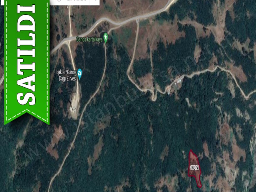 Tekirdağ Şarköy Gaziköy Mah, Satılık Tarla ,7,860 m2  Müstakil 