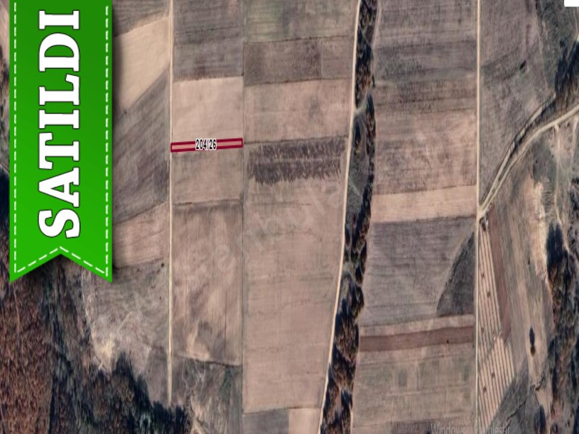 Edirne Meriç Karayusuflu Köyü Satılık Tarla , 979 m2 Yola Cephe Müstakil