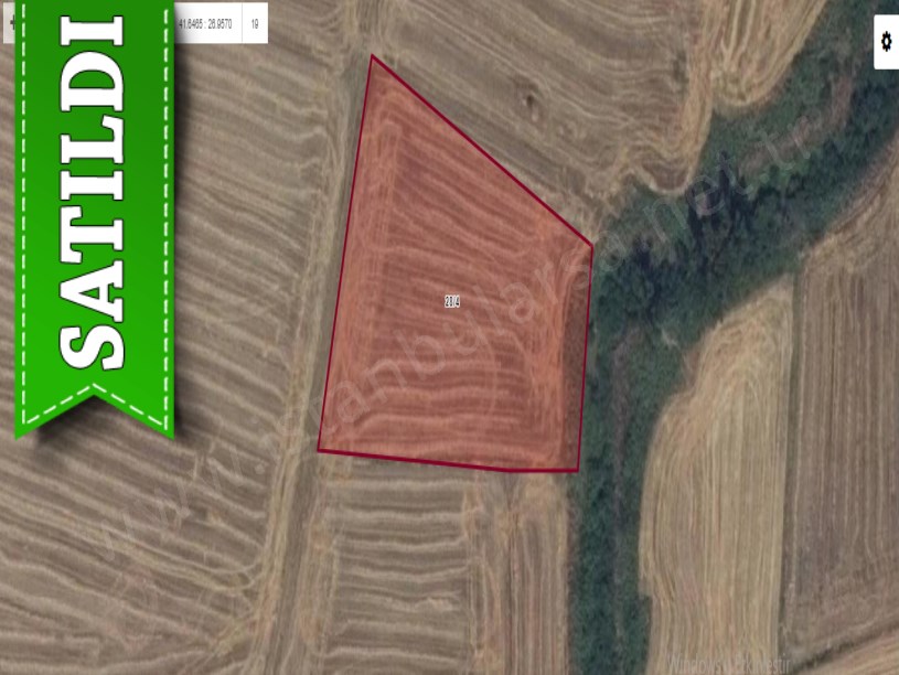 Kırklareli Merkez Tekkeşeyhler Köyü Satılık Tarla , 4,386 m2 Müstakil Yolu Var