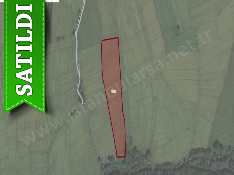 Çatalca Ormanlıda Satılık Arsa , 904 M2 Hisseli 